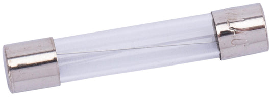 Spahn glaszekering glass fuses 10a 6x32 mm (10pcs)