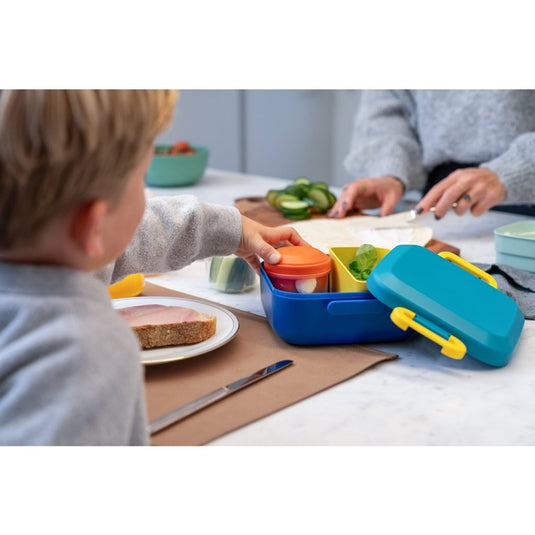 Amuse rikko midnight lagoon lunchbox