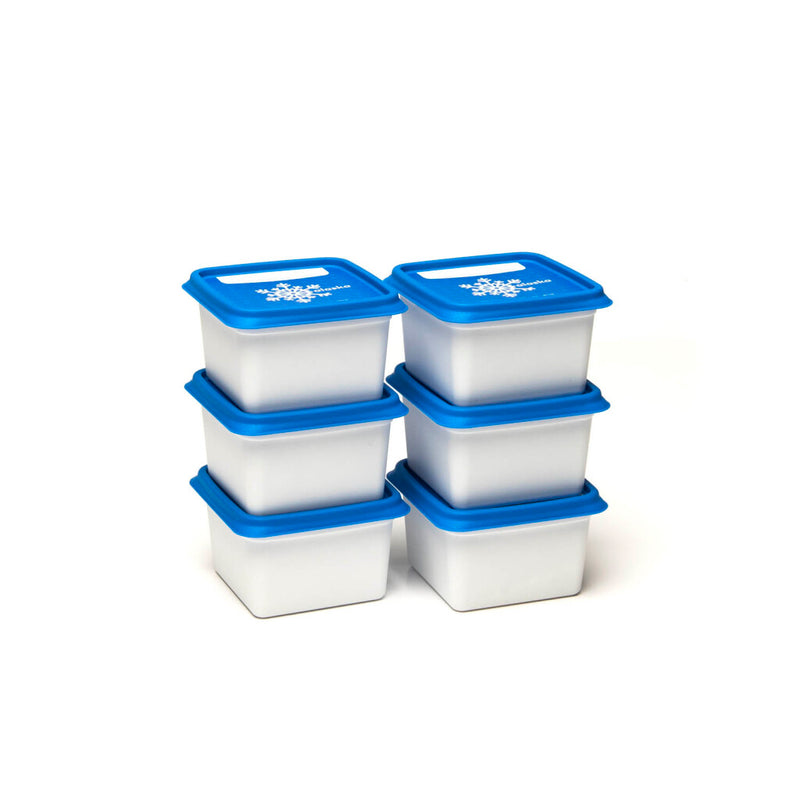 Alaska dbp diepvriesdoos 200 ml set van 6 stuks