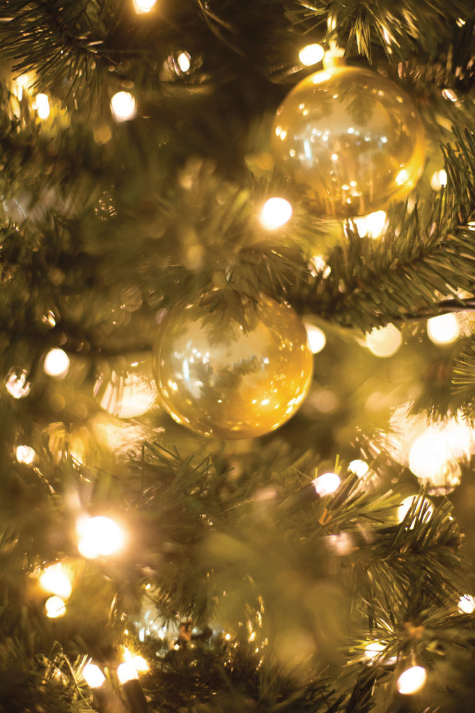 Load image into Gallery viewer, HQ HQ HQCLS48660 Kerstverlichting 100 LEDs 3W 9,42M Warm Wit Binnen
