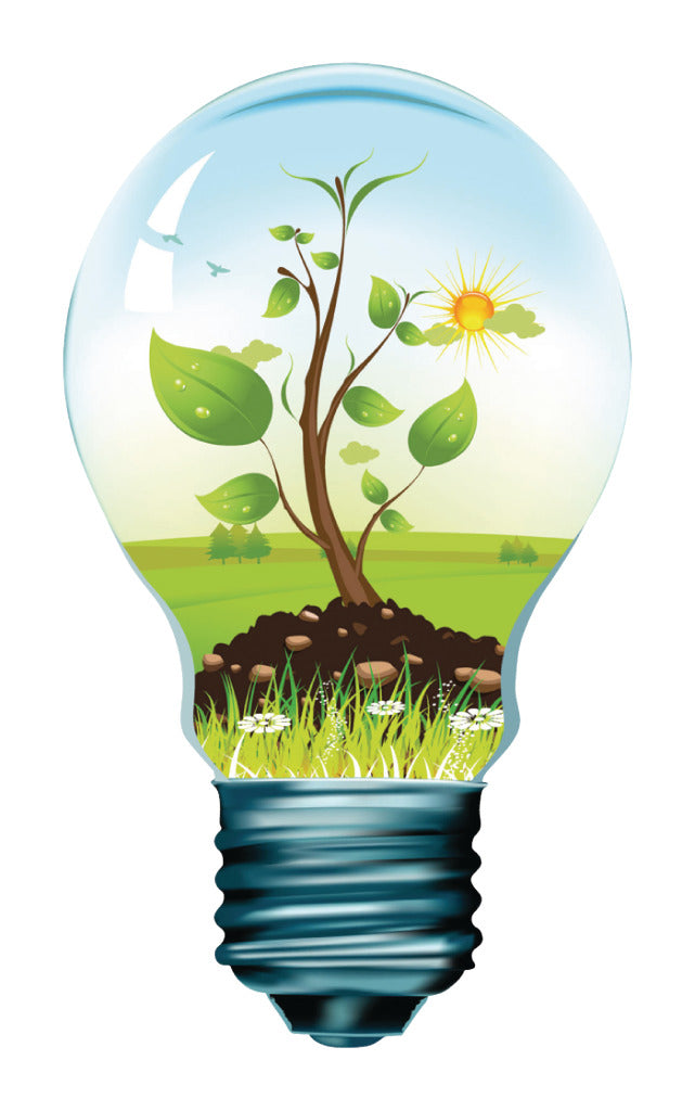 Load image into Gallery viewer, HQ HQ HQLFE27G95002 Led Retro Filament Lamp E27 Dimbaar G95 4 W 320 Lm 2500 K
