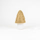 Egmont lamp paddenstoel mokka + dimmer.