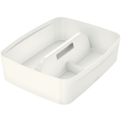 Sorteertray leitz mybox wow abs