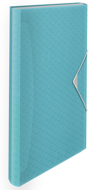 Esselte colour'breeze a4 uitzetbare projectmap - organiser met 5 tabbladen 6 vakken - blauw