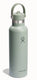 Hydro flask thermosfles met riet 621ml - houdt tot 24u koel