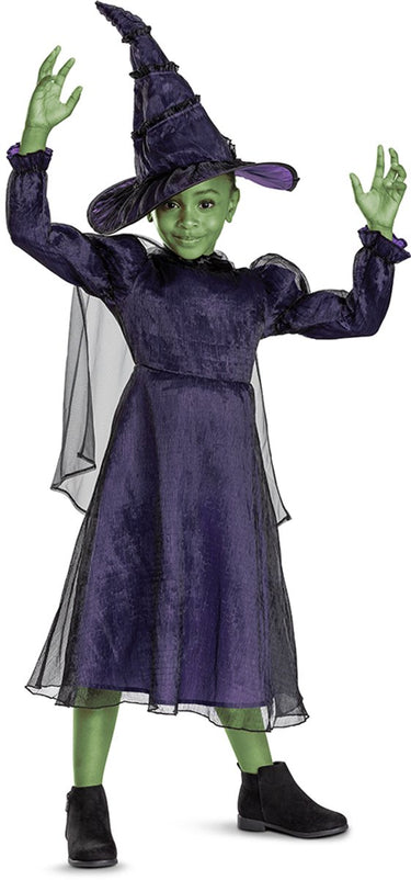 Disguise wicked (nbc universal), elphaba deluxe, maat xs (3t-4t jaar), meisjes