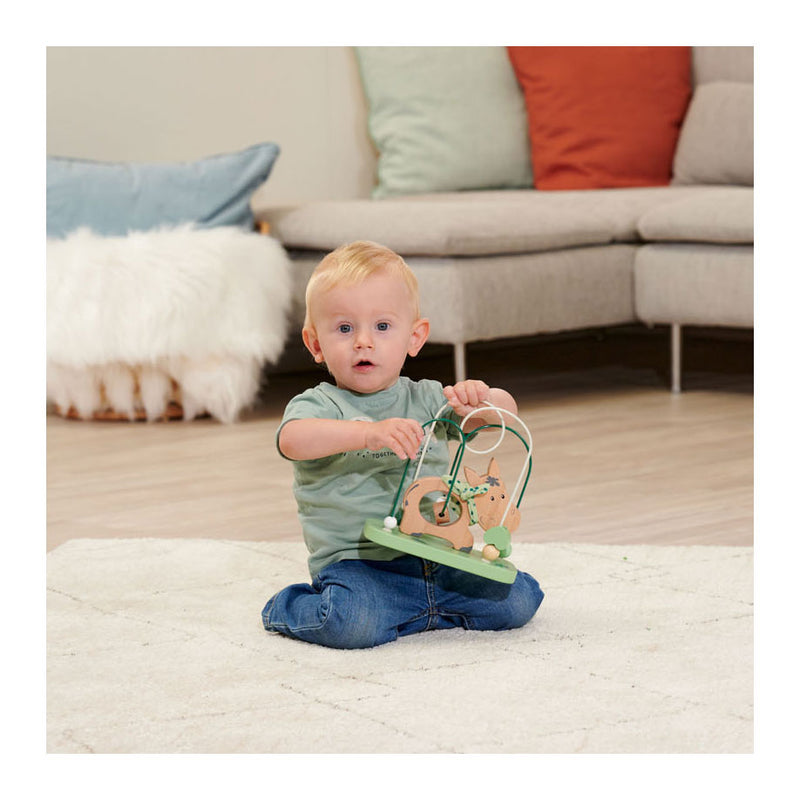 Load image into Gallery viewer, Eichhorn Baby Hipp Motoriek Spiraal Ezel
