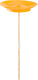 Bs toys - jongleerbord geel met houten stokje - circusbordje - actief spel - fsc hout - 8+ jaar