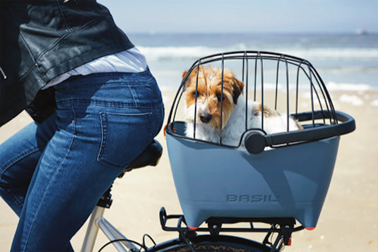 Basil Buddy - koepel - zwart