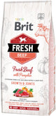 Brit fresh beef with pumpkin puppy large - 2,5 kg