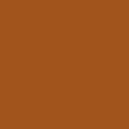 Superior achtergrondpapier 48 spice 1,35 x 11m