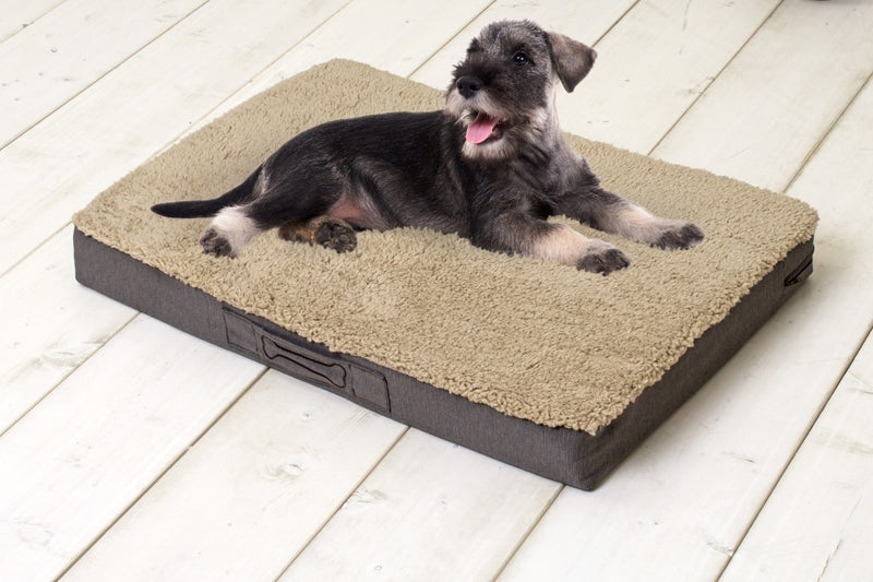 Load image into Gallery viewer, Sun Garden Sun Garden Buddy Orthopedisch Hondenkussen 120x72x10cm Beige Donkerbuin
