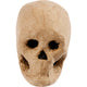 Https: www.cchobby.nl skelet-masker-h-10-cm-1-stuk