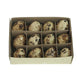 Anna's collection kwartelei 3cm set van 12 stuks in vensterdoos