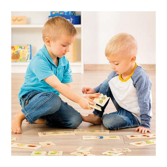 Beleduc cognito activiteiten herkennen houten kinderspel