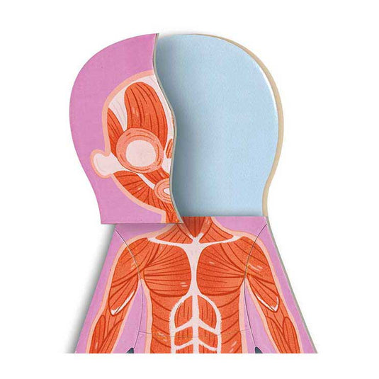 Hape menselijk lichaam magnetische puzzel - 63dlg.