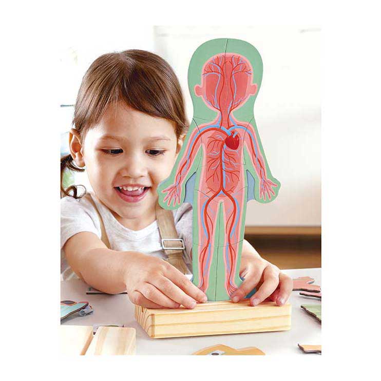 Load image into Gallery viewer, Hape menselijk lichaam magnetische puzzel - 63dlg.
