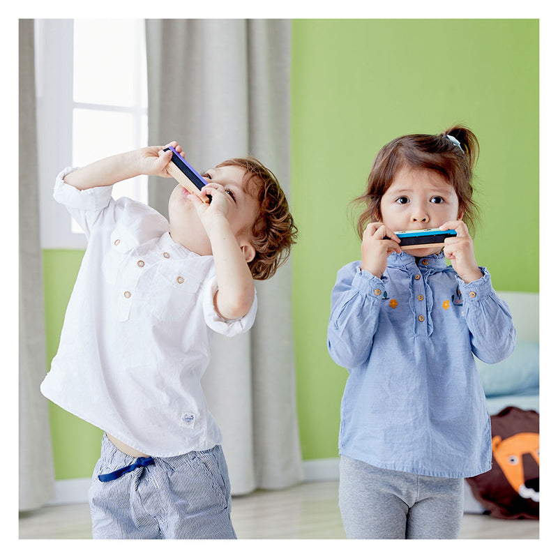 Afbeelding laden in galerijviewer, Classic world mondharmonica
