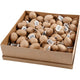 Creativ company https: www.cchobby.nl eieren-h-3-4-5-6-cm-140-stuk-1-doos