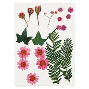 Creativ company gedroogde bloemen en bladeren lichtrood, 19dlg.