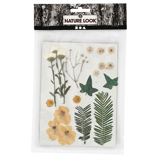 Creativ company gedroogde bloemen en bladeren off-white, 19dlg.
