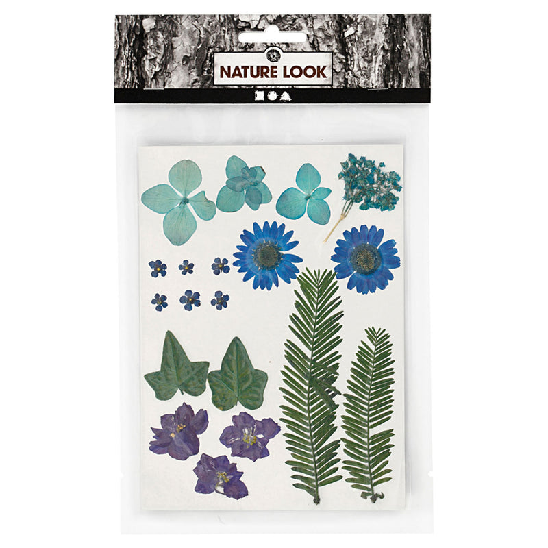 Load image into Gallery viewer, Creativ company gedroogde bloemen en bladeren blauw, 19dlg.

