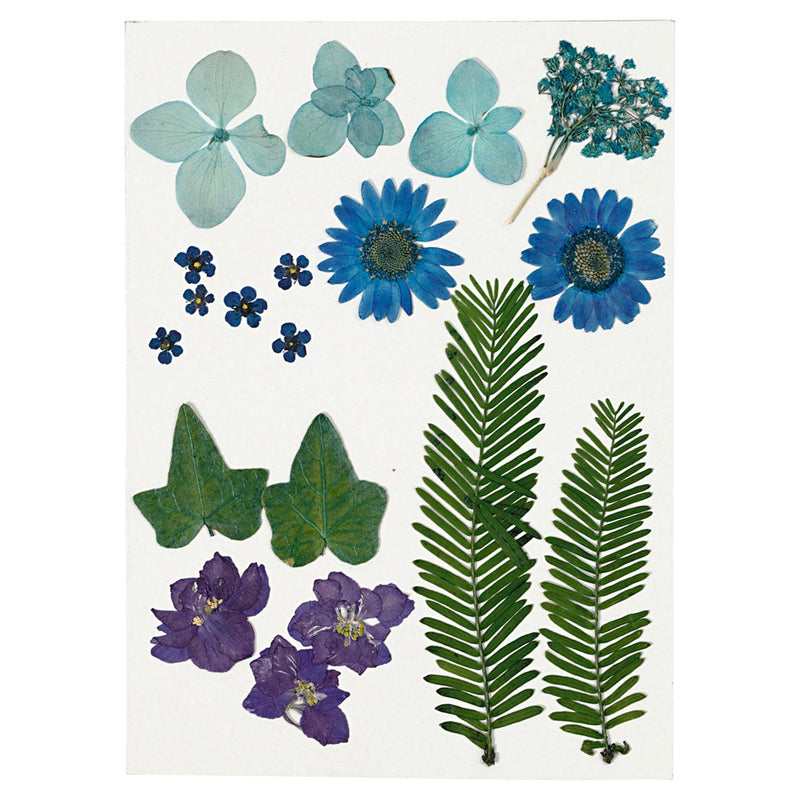 Load image into Gallery viewer, Creativ company gedroogde bloemen en bladeren blauw, 19dlg.
