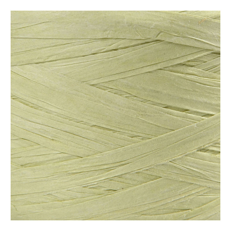 Afbeelding laden in galerijviewer, Creativ company papier raffia garen lichtgroen, 100m
