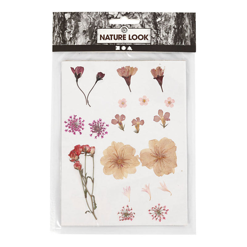 Load image into Gallery viewer, Creativ company gedroogde bloemen en bladeren lichtroze
