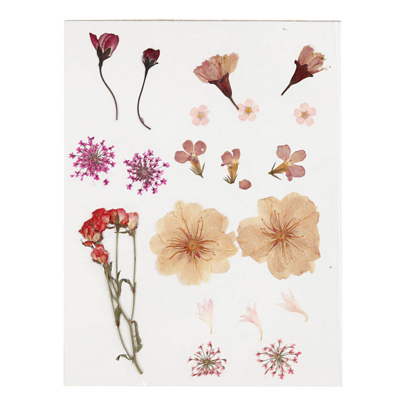 Load image into Gallery viewer, Creativ company gedroogde bloemen en bladeren lichtroze
