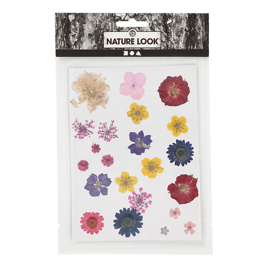 Creativ company gedroogde bloemen en bladeren diverse kleuren