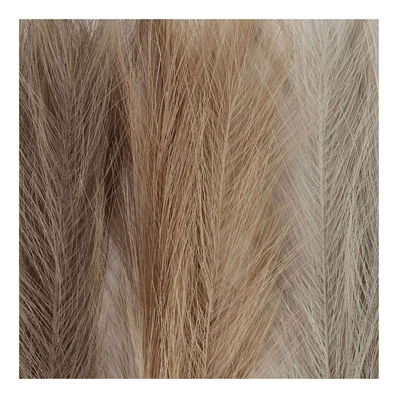 Load image into Gallery viewer, Creativ company https: www.cchobby.nl pampasgras-l-50-cm-licht-beige-lichtbruin-lichtgrijs-3-stuk-1-bol
