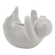Creativ company https: www.cchobby.nl dierenspaarpot-luiaard-afm-11x6x5-cm-6-stuk-1-doos