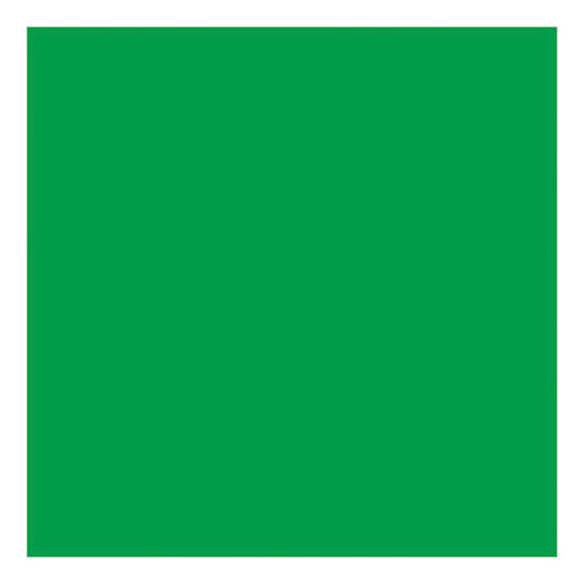 Creativ company gekleurd karton gras groen 270gr, 100 vellen