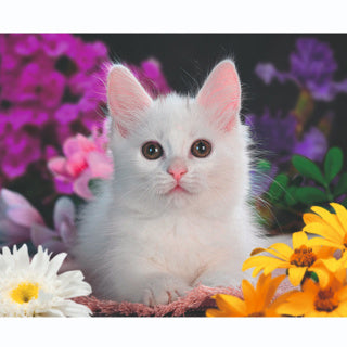 ギャラリービューアに画像をロードする, Ravensburger puzzel schitterend katje 100 xxl
