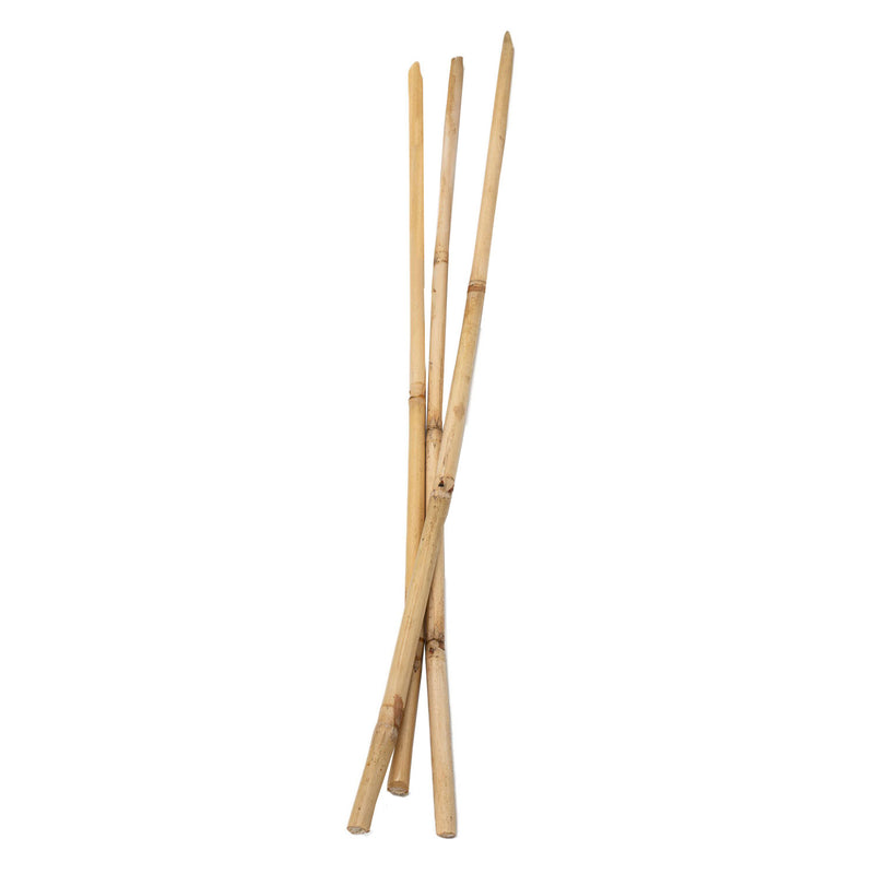 Load image into Gallery viewer, Colorations - bamboestokken 50cm, 3st.
