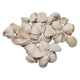 Colorations - grote ark schelpen, 500 gram