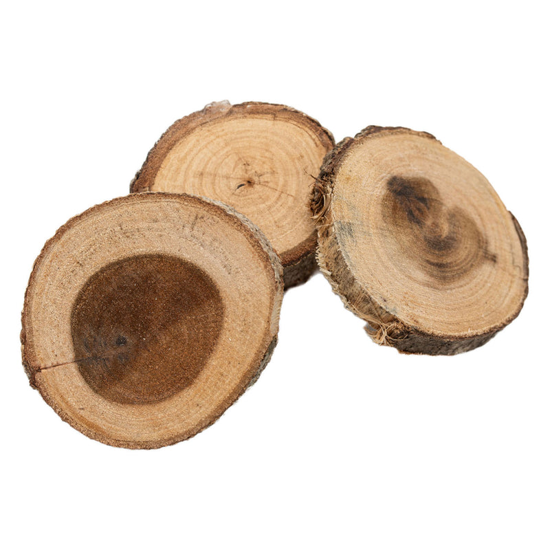 ギャラリービューアに画像をロードする, Colorations houten schijfjes knutselset 8-10cm 12 stuks creatief speelgoed.
