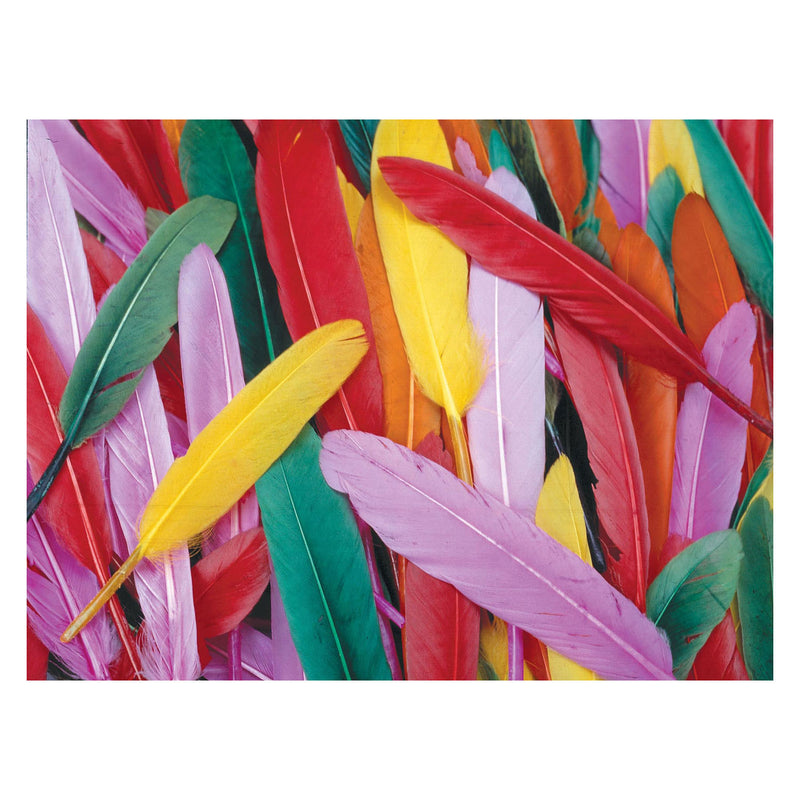 Load image into Gallery viewer, Colorations - gekleurde eendenveren, 28,5 gram
