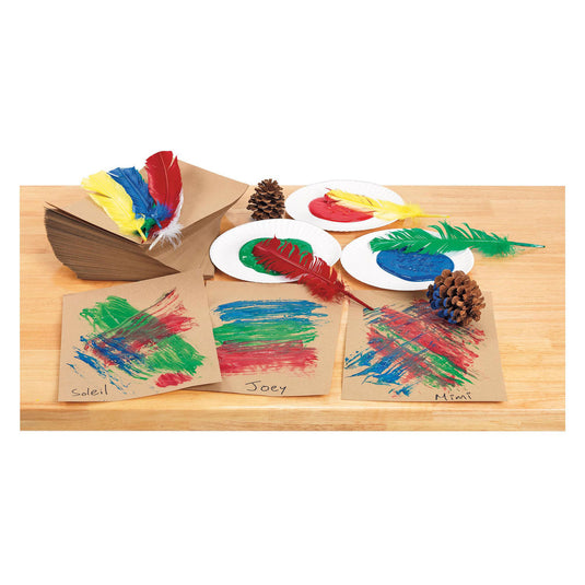 Colorations - veren 30cm, set van 24