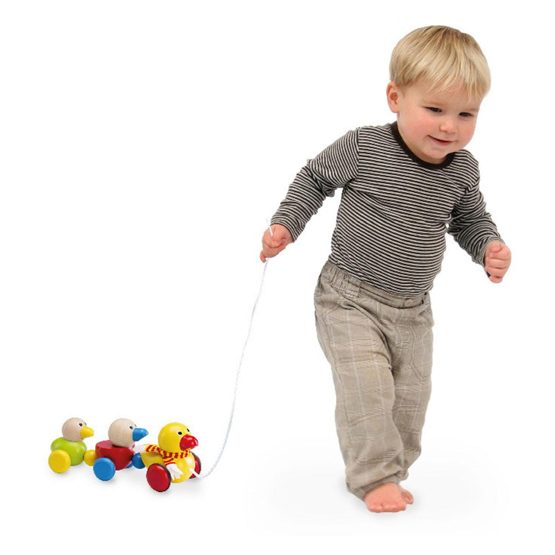 Load image into Gallery viewer, Wonderworld Houten Trekdieren Eenden Familie
