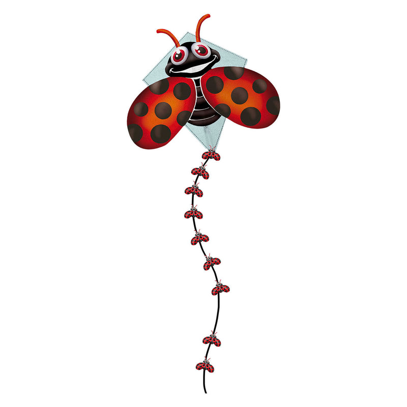 Load image into Gallery viewer, Kites ready 2 fly - pop-up nylon vlieger lieveheerstbeestje
