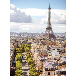 Ravensburger paris puzzle - 2 x 500 stuks
