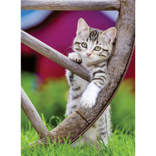 Load image into Gallery viewer, Ravensburger puzzel poezen 2 x 500 stukjes
