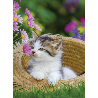 Load image into Gallery viewer, Ravensburger puzzel poezen 2 x 500 stukjes
