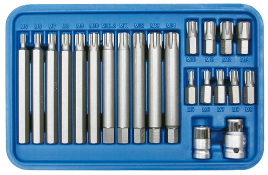 Sw stahl bitsatz ribe set 22 pcs. m5-m13 sw steel
