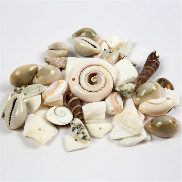 Http: www.cchobby.nl strand-schelpen-kralen-afm-9-40-mm-gatgrootte-1-1-5-mm-120-gr-1-doos