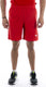 Puma teamrise short heren - maat s