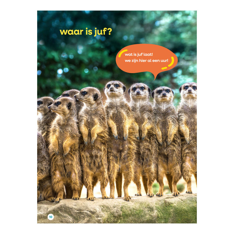Load image into Gallery viewer, Boek mijn grote juffenboek
