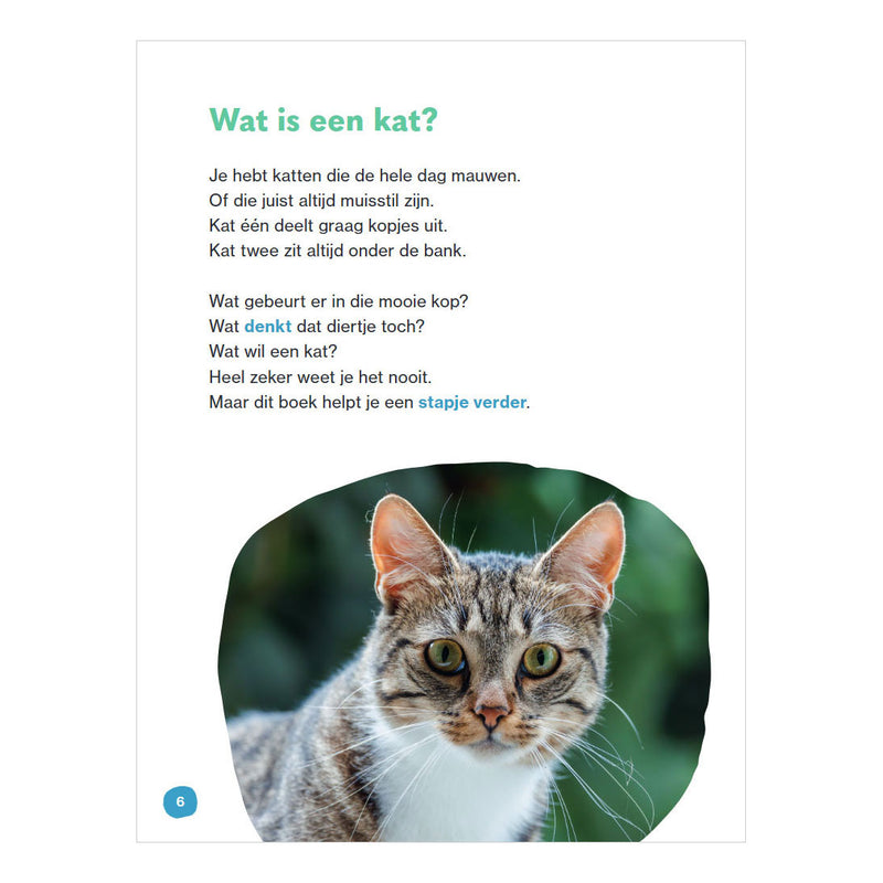 Afbeelding laden in galerijviewer, Wpg uitgevers dat is een kat - avi e3
